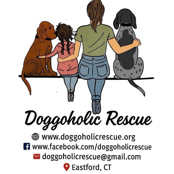 Meet your Posher, Taylor - Picture 4 of 4